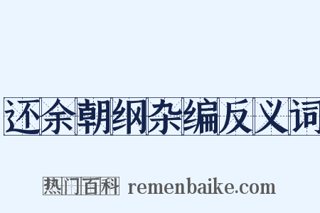 还余朝纲杂编反义词是什么意思的图片